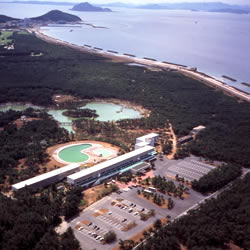 �É����x�ɑ��@�ɗǌ�