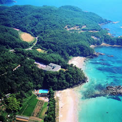 �{�錧�x�ɑ��@�C����哇