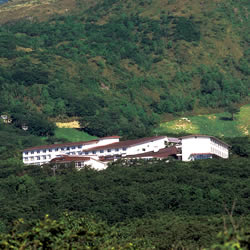 �Ȗ،��x�ɑ��@�ߐ{�E����